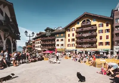 location appartement ski Peisey-Vallandry-1