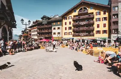 location chalet ski à Alpes Françaises - image 3