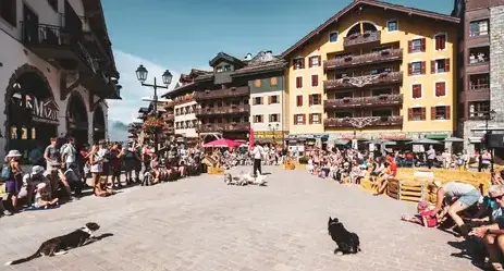 location chalet ski à Peisey-Vallandry - image 2