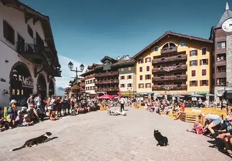 location vacances ski à Peisey-Vallandry - image 3